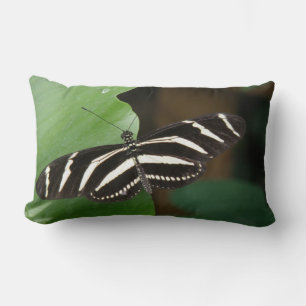 Rectangle Joli Zebra Longwing Papillon Coussin
