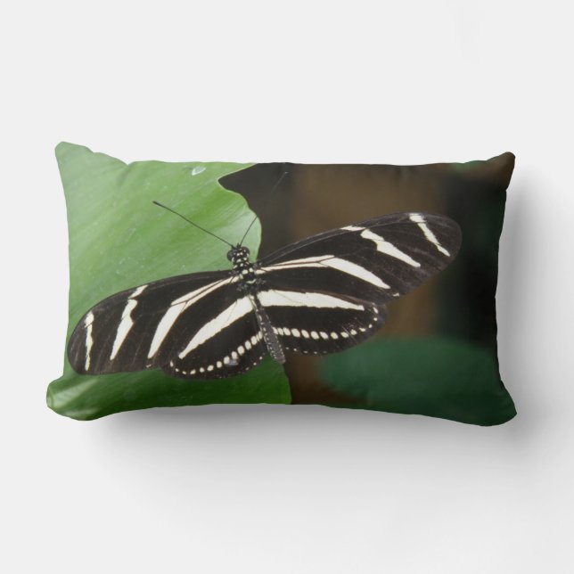 Rectangle Joli Zebra Longwing Papillon Coussin (Recto)
