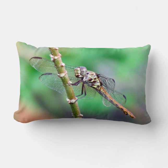 Rectangle Le Coussin des libellules (Recto)