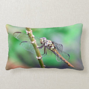 Rectangle Le Coussin des libellules