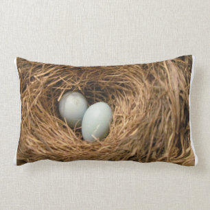 Rectangle Le nid de l'oiseau avec le coussin des oeufs de