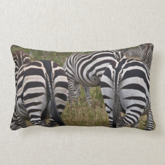 Rectangle Le zèbre aboute le coussin lombaire