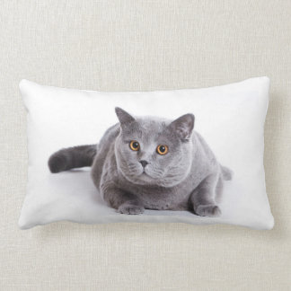 Rectangle Lumbar de coussin - chat