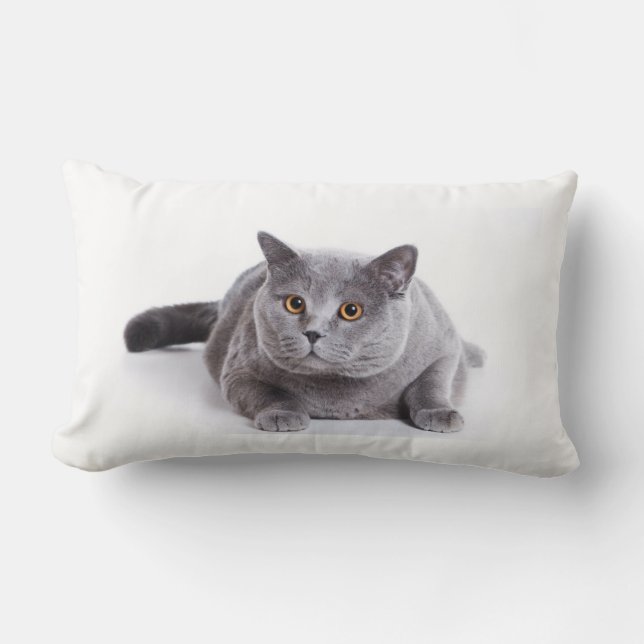 Rectangle Lumbar de coussin - chat (Recto)
