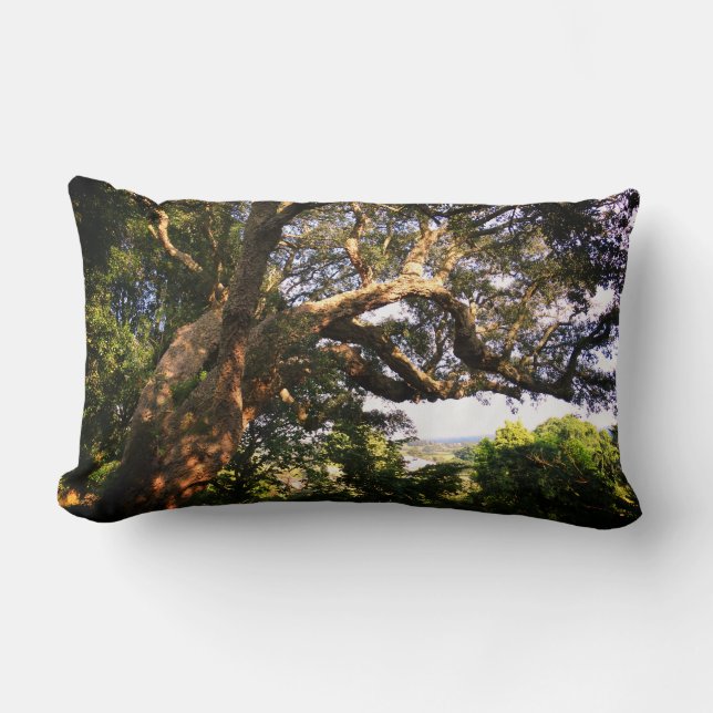 Rectangle Old Tree Photo Lumbar Coussin (Recto)