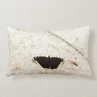 Rectangle Papillon contre le coussin lombaire en pierre