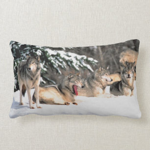 Rectangle Paquet de loups dans le coussin lombaire de neige
