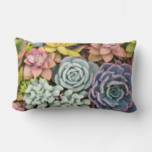 Rectangle Pastel Coloured Succulent Plante Lumbar Coussin
