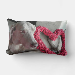 Rectangle Pluie's Love - Weimaraner Chien Pic - Coussin