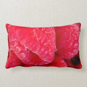 Rectangle Raspberry Delight Lumbar Coussin
