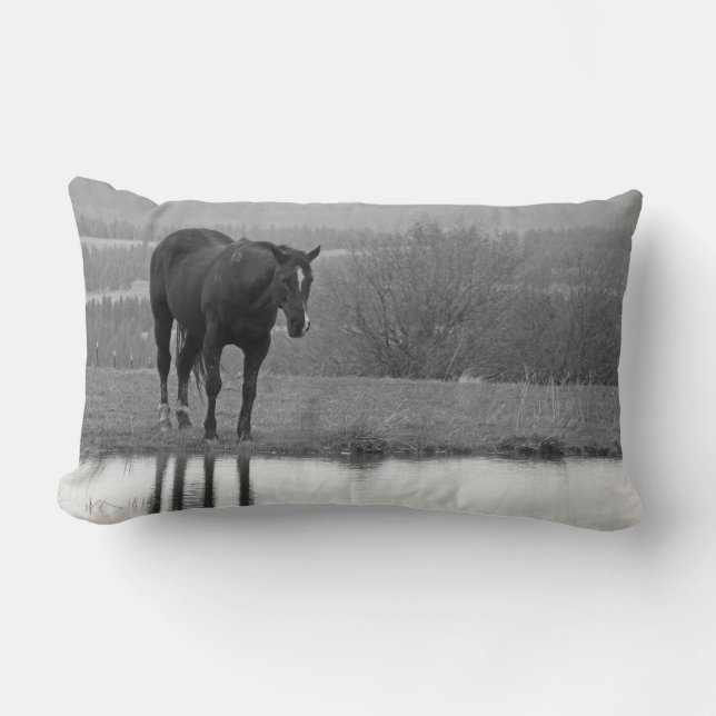 Rectangle Réflectionz calme ~ Coussin de cheval (Recto)