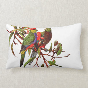 Rectangle ROSELLAS SUR le double coussin dégrossi BLANC de