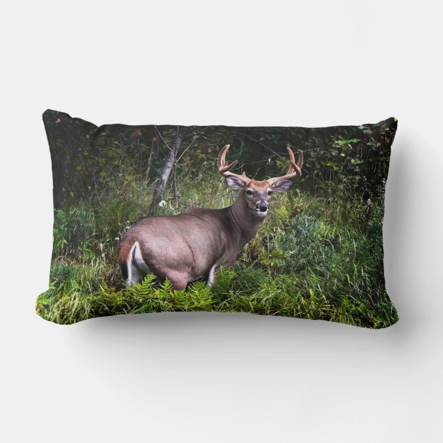 Rectangle Whitetail Buck Lumbar Coussin (Recto)