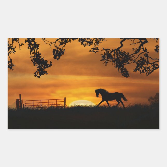 Rectangulaire Cheval dans Sticker coucher de soleil (Devant)