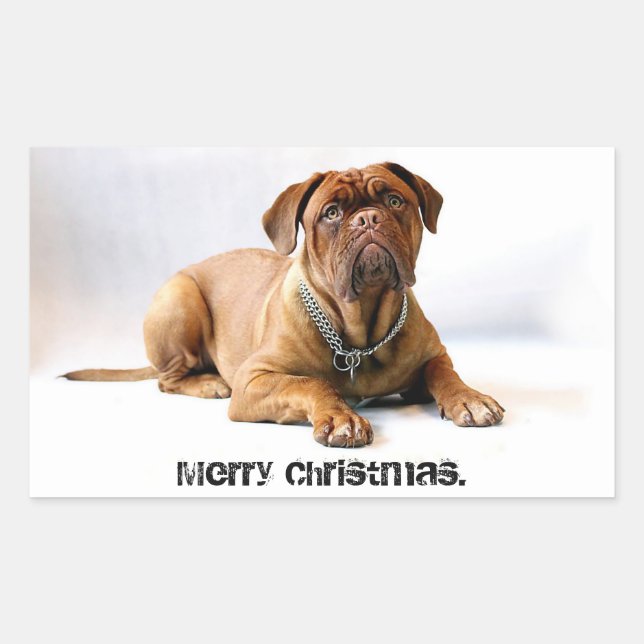 Rectangulaire Mastiff Deadpan Chien Joyeux Sticker de Noël (Devant)