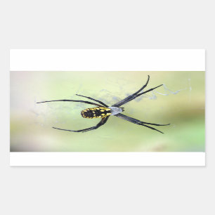 Rectangulaire Sticker Argiope Jardin Noir & Jaune