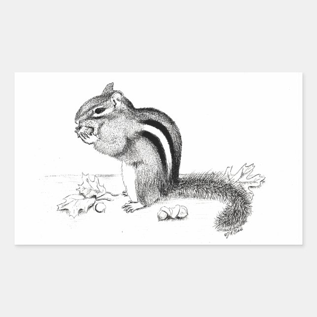 Rectangulaire Sticker Chipmunk (Devant)