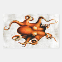 Sticker de Cephalopoda des îles Hawaii