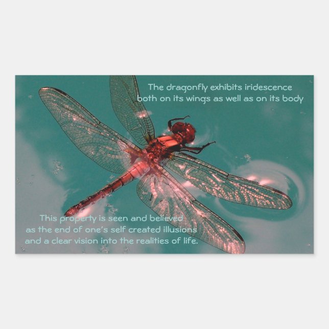 Rectangulaire Sticker dragonfly brillant (Devant)