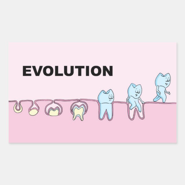 Rectangulaire Sticker pour la dentisterie de l'évolution (Devant)