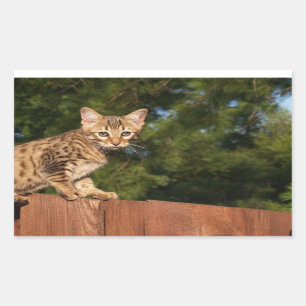 Rectangulaire Sticker Rectangle de chat Savannah