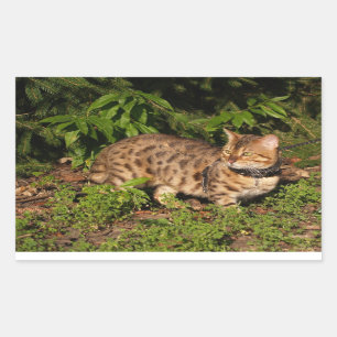 Rectangulaire Sticker Rectangle de chat Savannah