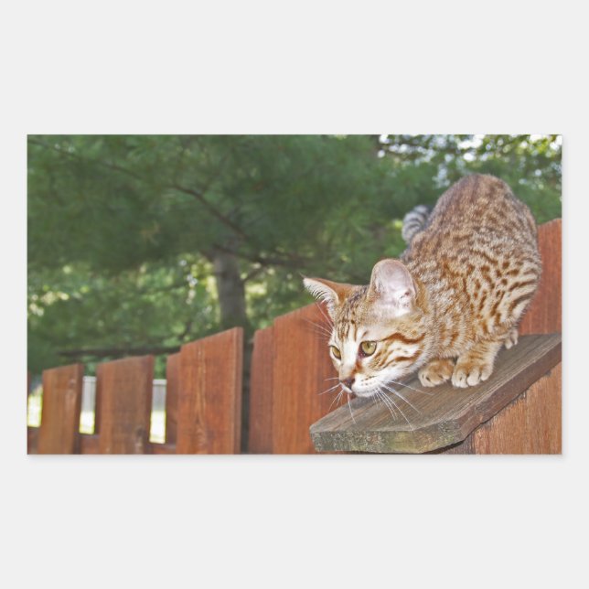 Rectangulaire Sticker Rectangle de chat Savannah (Devant)