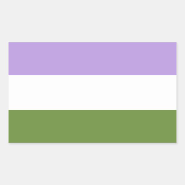 Rectangulaire Sticker Rectangle de la Genderqueer Pride (Devant)