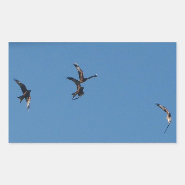 Rectangulaire Sticker Red Kites (Devant)