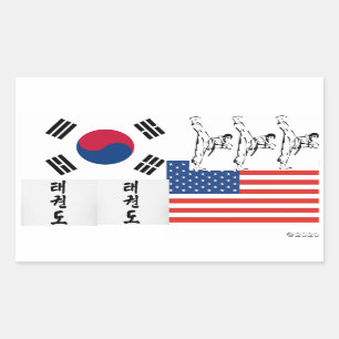Rectangulaire Sticker Taekwondo