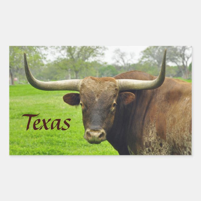 Rectangulaire Sticker Texas Longhorn "Texas" (Devant)