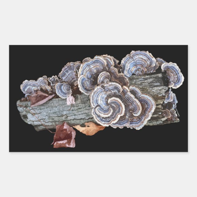 Rectangulaire Trametes versicolor Turc Sticker (Devant)