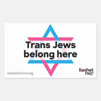Rectangulaire Trans Jews Belong Here sticker