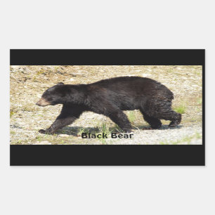 Rectangulaire Yukon Ours Noir Faune Sticker Cadeaux
