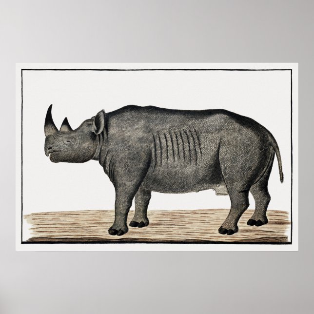 Recto Diceros bicornis bicornis bicornis: schwarze Poster (Vorne)