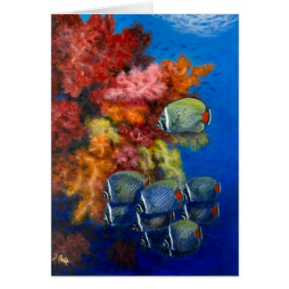 Reculated BBF mit weichen Korallen