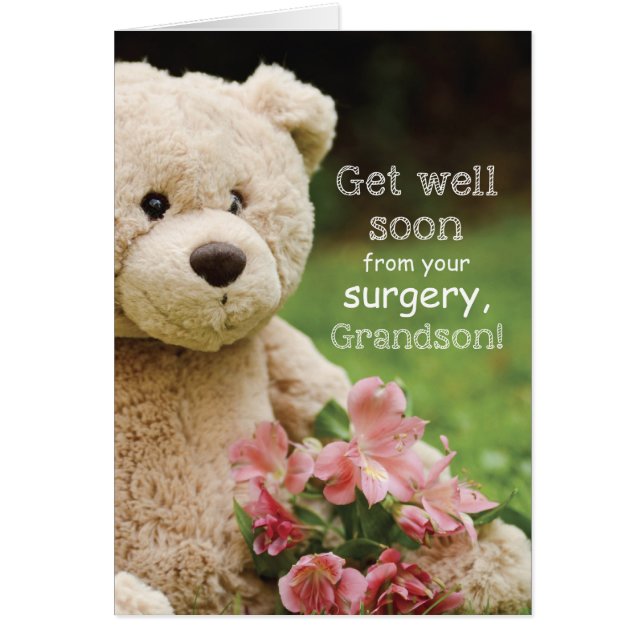 Récupération de la chirurgie du petit-fils, ours e (Devant)