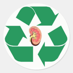 Recyceln Sie Niere Runder Aufkleber