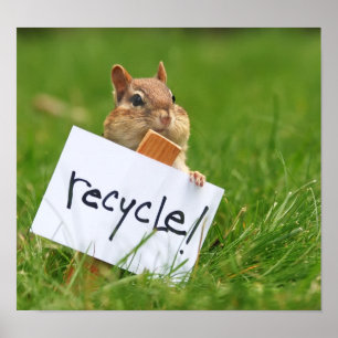 Recycelnd Chipmunk Poster