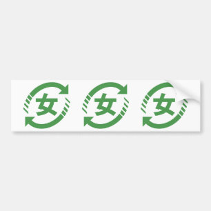 Recycle Japanese Girls   Kanji Nihongo Sign Autoaufkleber