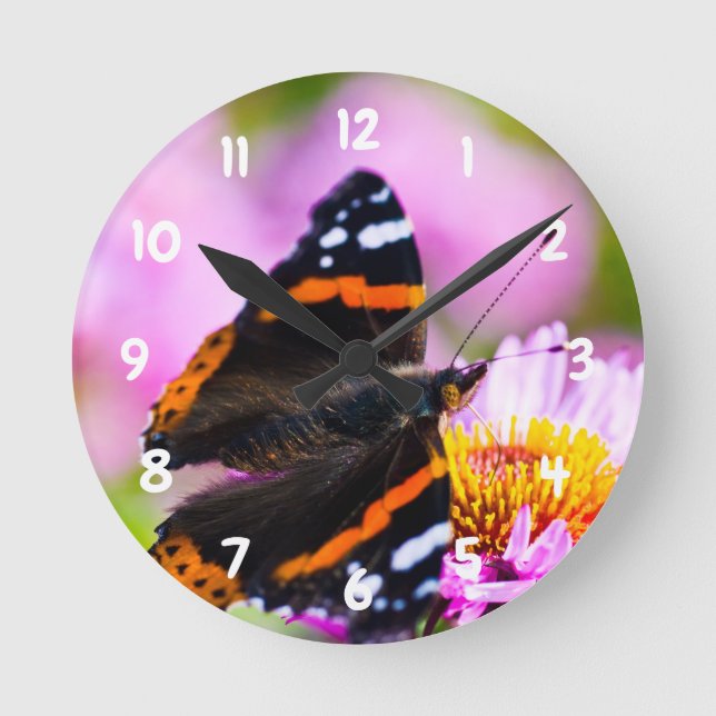 Red Admiral Butterfly Acrylic wall clock Runde Wanduhr (Vorderseite)