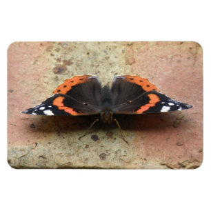 Red Admiral Butterfly Flexi Magnet