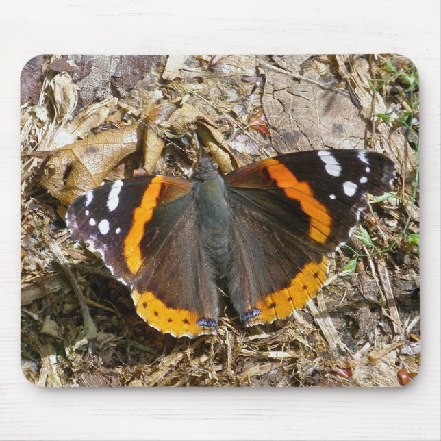 Red Admiral Butterfly Mousepad (Vorne)