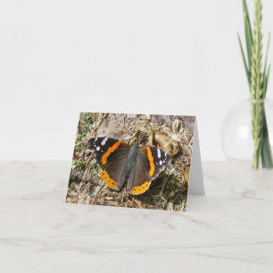 Red Admiral Butterfly Note Card Karte