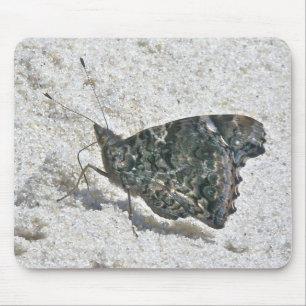 Red Admiral Butterfly on Beach Coordinated Items Mousepad