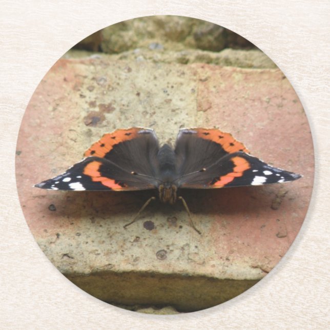 Red Admiral Butterfly Paper Untersetzer (Vorderseite)