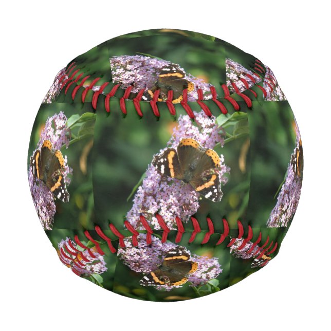 Red Admiral Butterfly und Buddleia Baseball (Vorderseite)