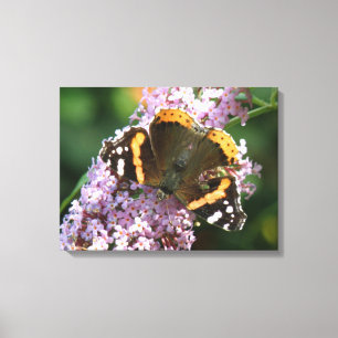 Red Admiral Butterfly und Buddleia Canvas Print Leinwanddruck