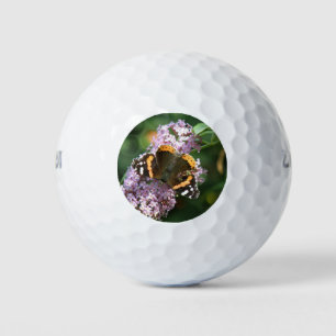 Red Admiral Butterfly und Buddleia Golf Ball