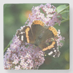 Red Admiral Butterfly und Buddleia Stone Untersetz Steinuntersetzer